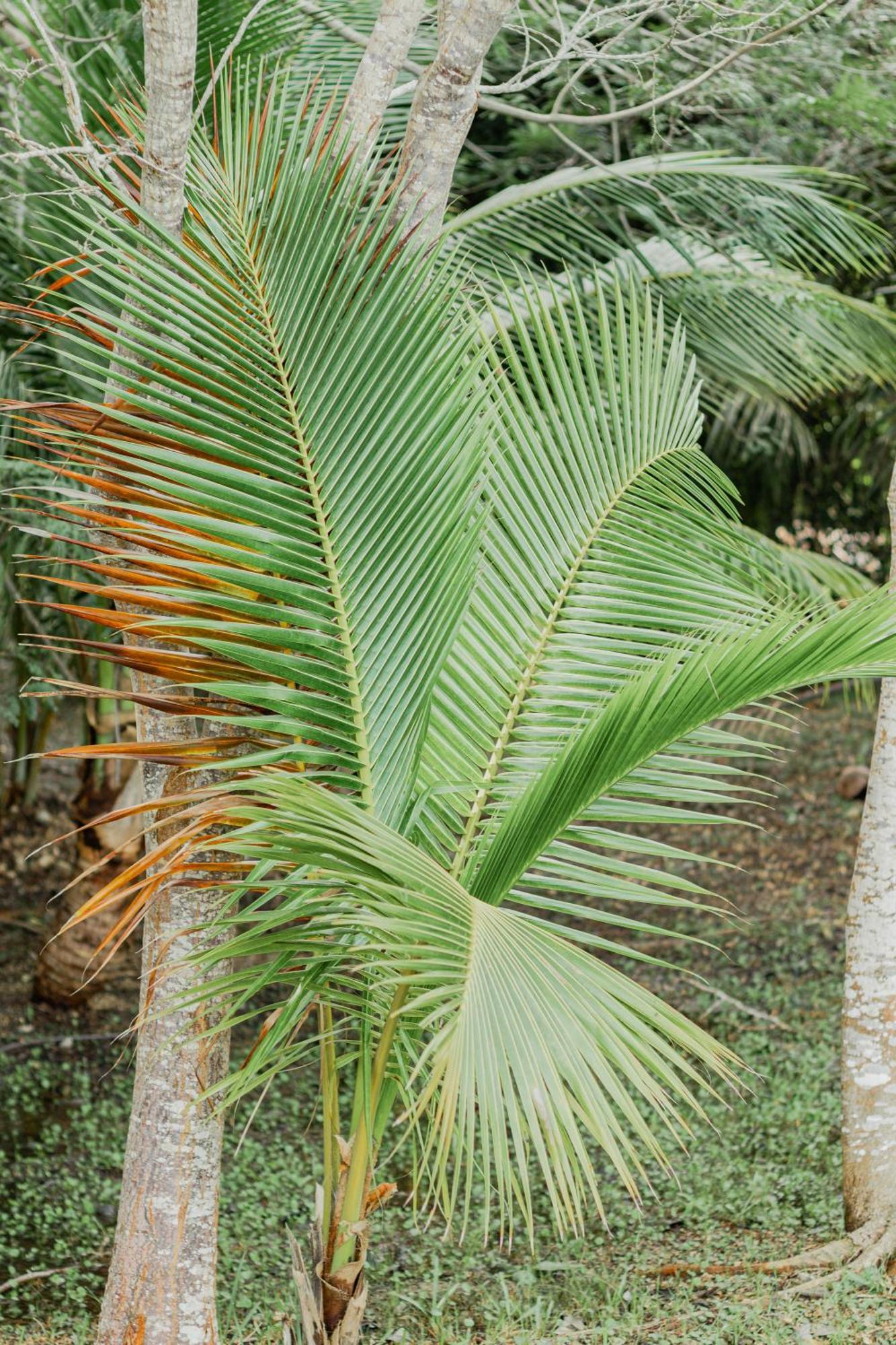 Mayan Playa Бакалар Екстериор снимка